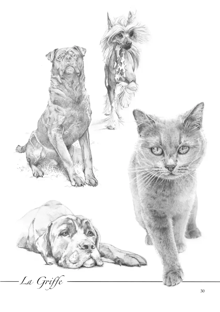 croquis animalier de chat et de chien réalisé avec beaucoup de taille de détails sur une toile blanche par la griffe