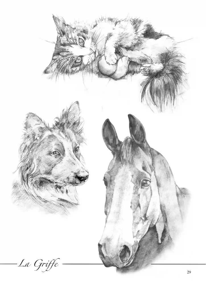 croquis de chat, de chien, de cheval, noir et blanc réalisée par la griffe avec beaucoup de détails.