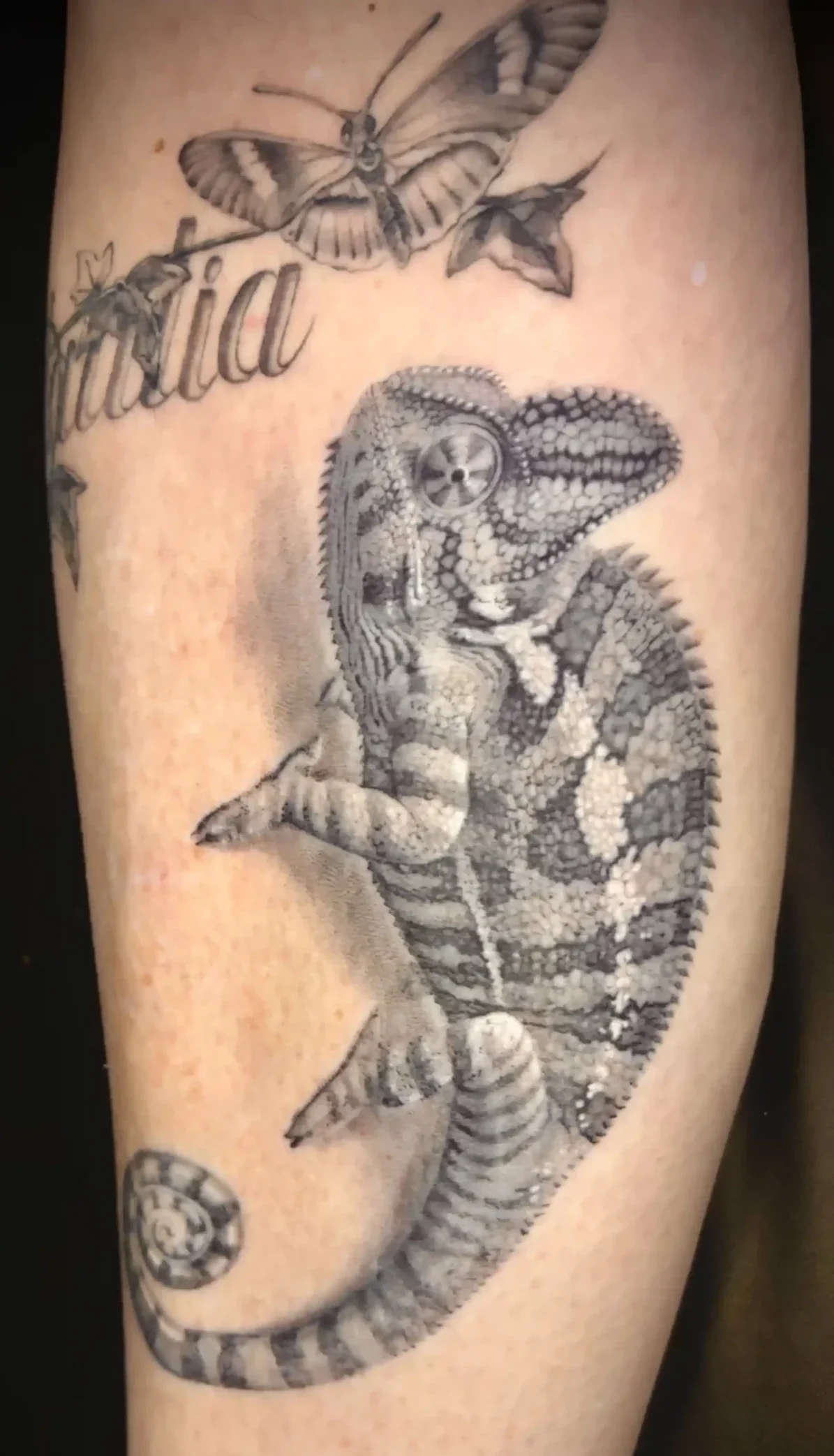 Tatouage de caméléon très détaillé sur la jambe, surmonté d'un papillon et d'un lettrage fin
