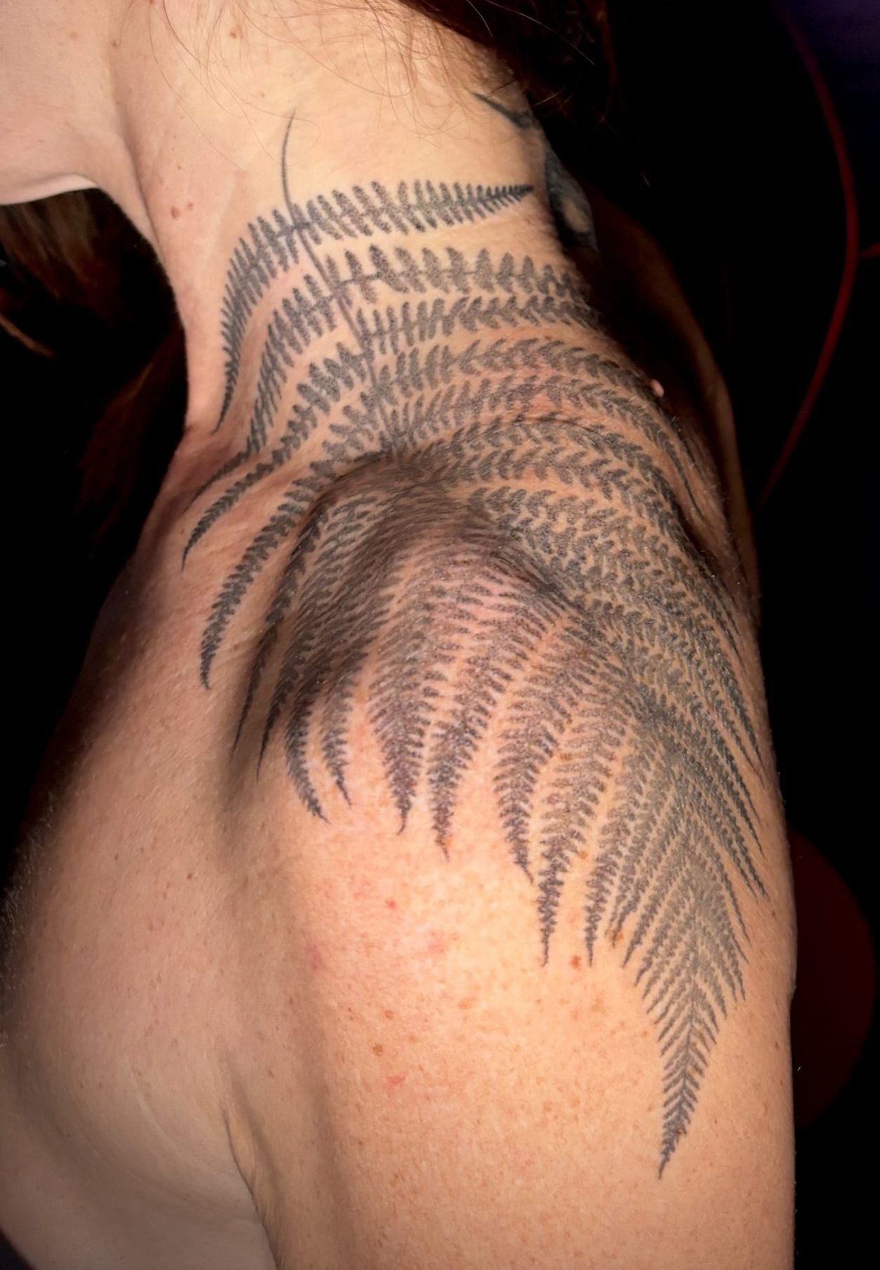 tatouage fougère dotwork-cicatrisé 6 mois-salon de tatouage la griffe-saint Maximin la sainte baume