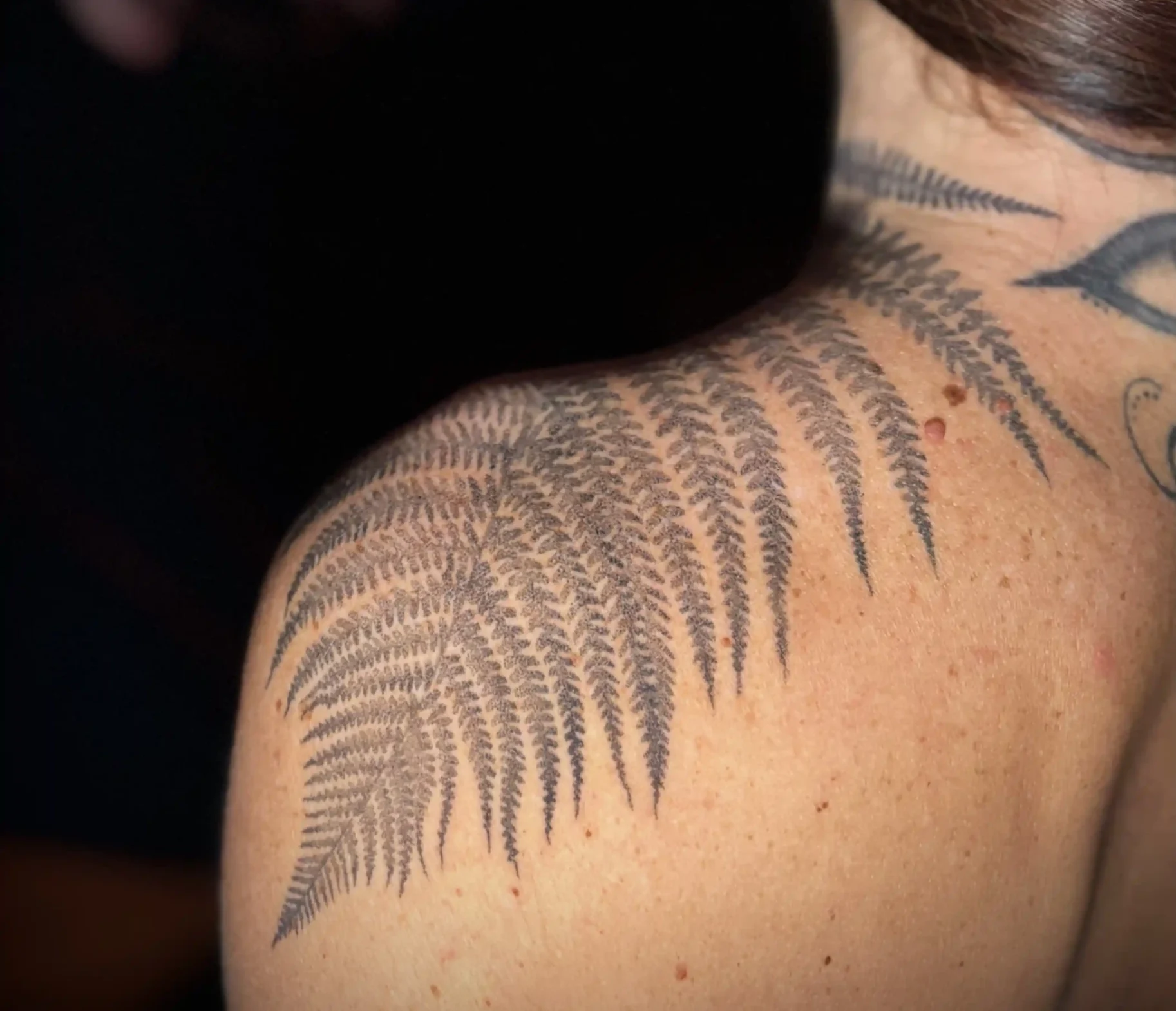 Tatouage épaule feuille de fougère-cicatrisé-salon de tatouage la griffe-seillons source d’argens