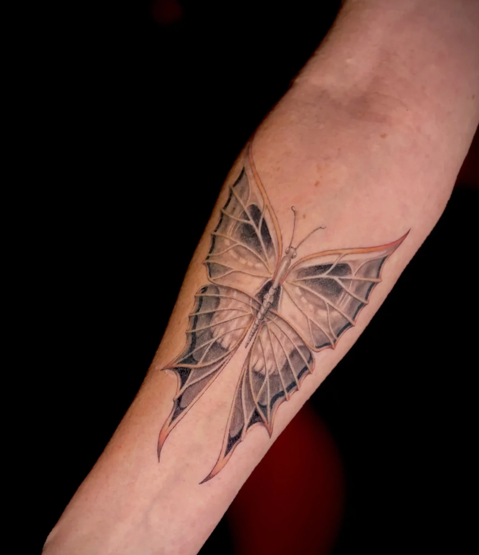 Tatouage papillon-tête de mort- cicatrisé 4 mois- salon de tatouage la griffe