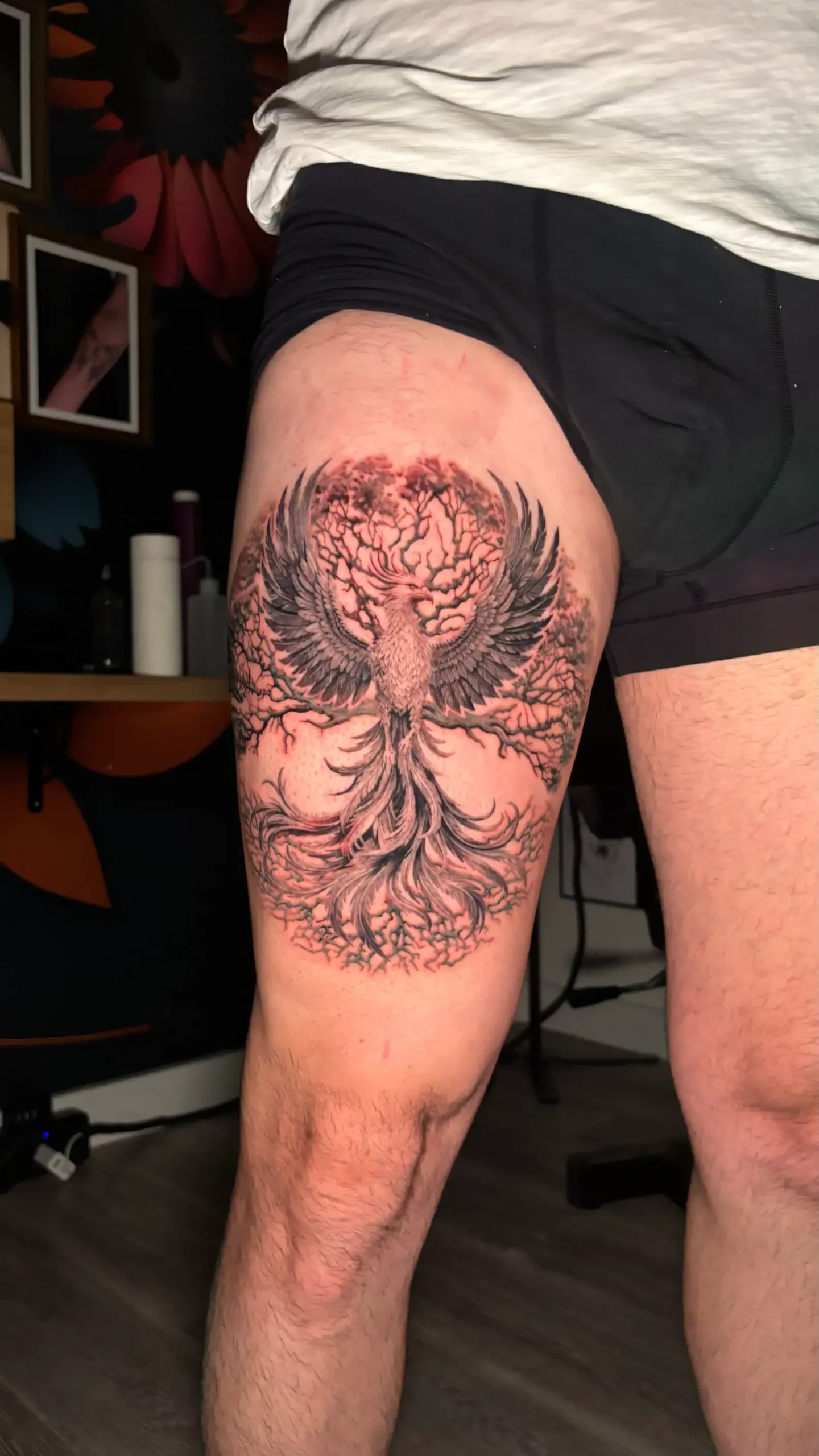 Tatouage phœnix-arbre de vie-réaliste noir et gris-salon de tatouage la griffe
