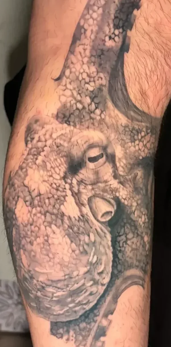 tatouage poulpe photoréaliste-noir et gris-cicatrisé 2 mois-salon de tatouage la griffe