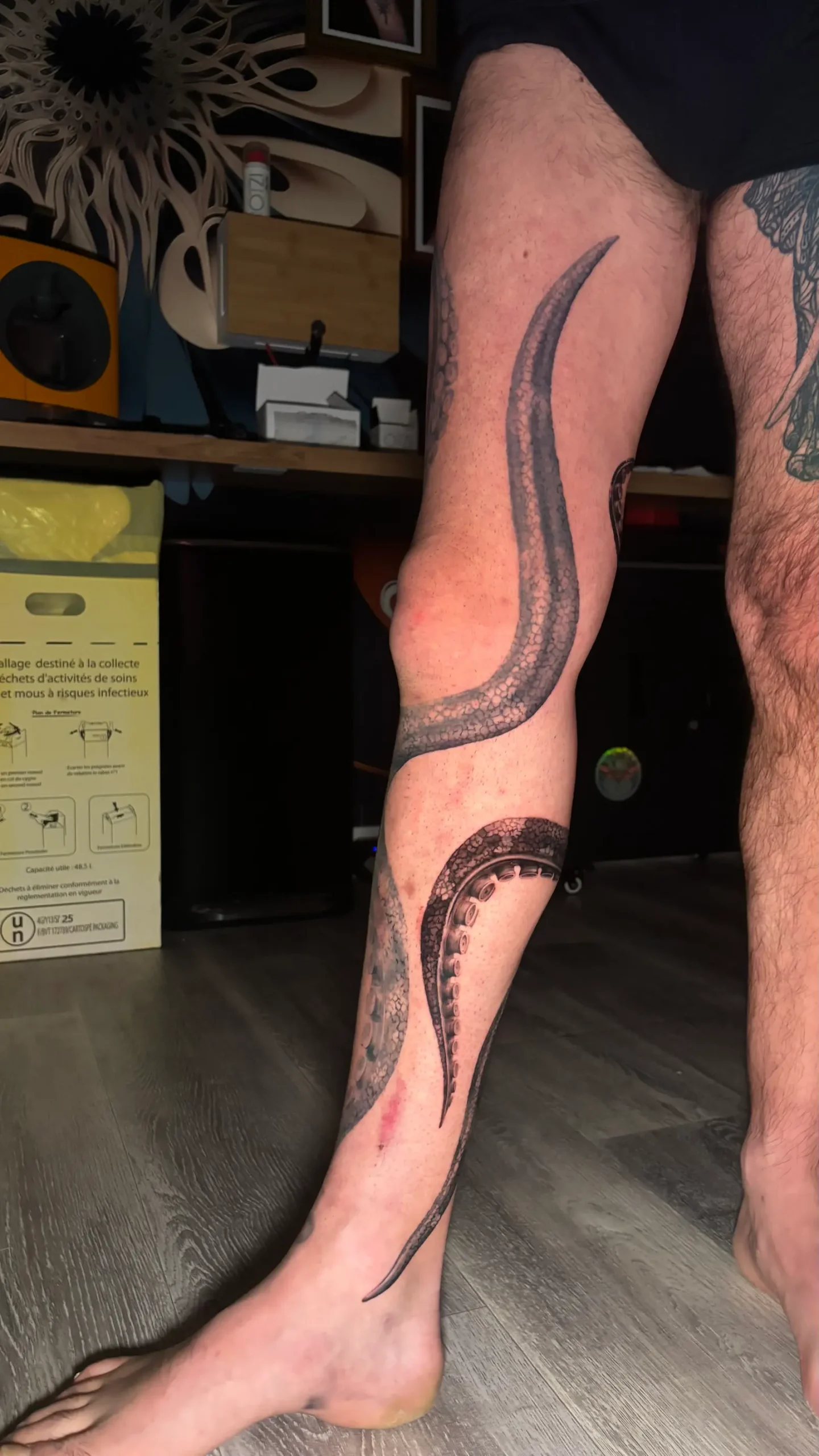 tatouage poulpe photoréaliste noir et gris jambe entière salon de tatouage la griffe Seillons source d’argens