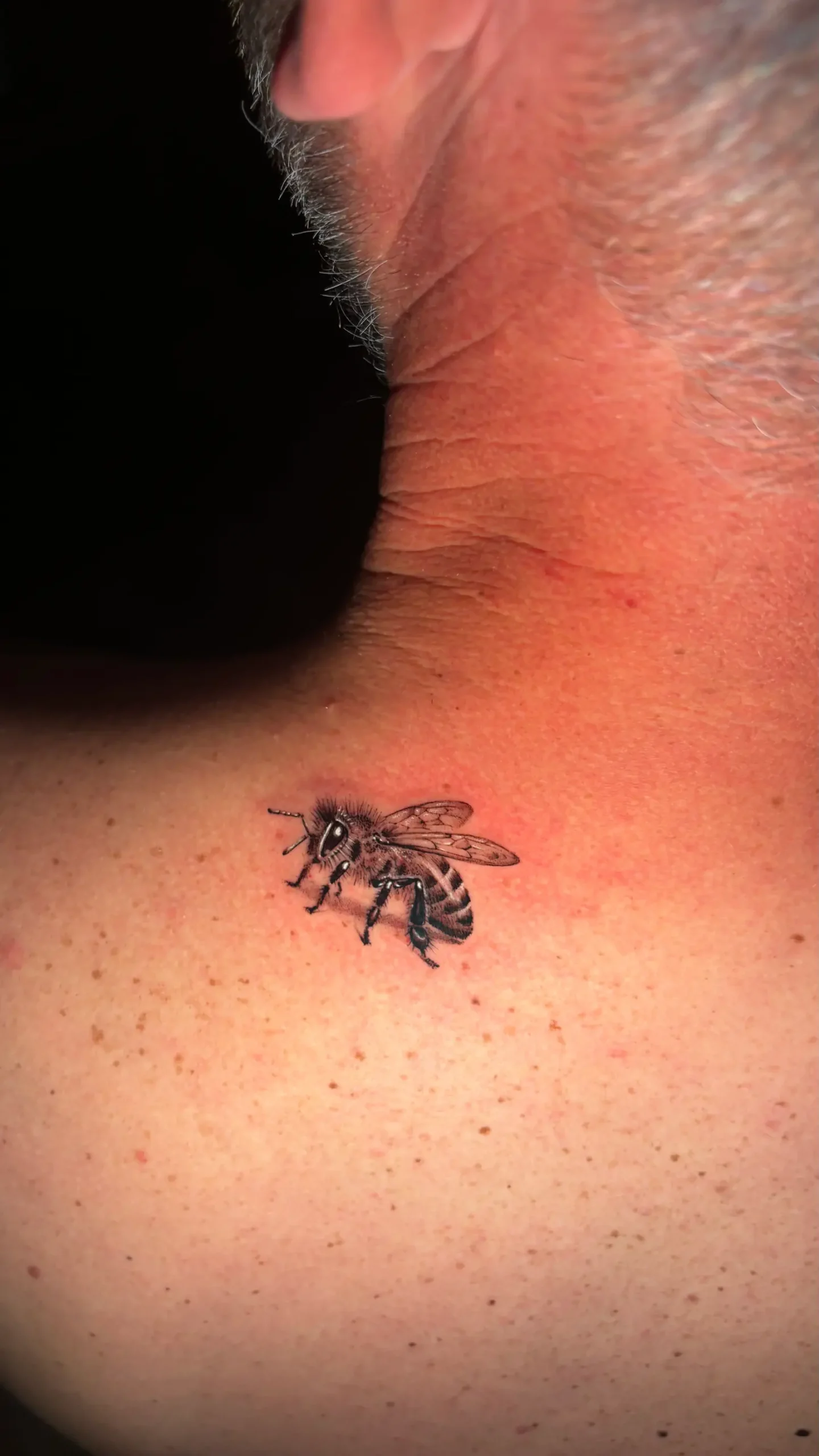 tatouage abeille micro réaliste noir et gris salon de tatouage la griffe