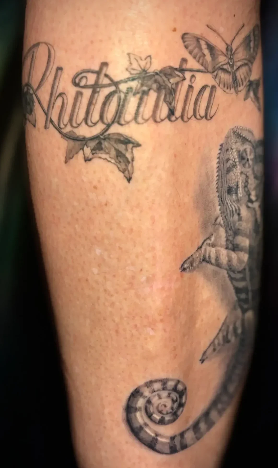Tatouage animalier et floral texte fine Line et caméléon salon d e tatouage la griffe seillons source d’argens