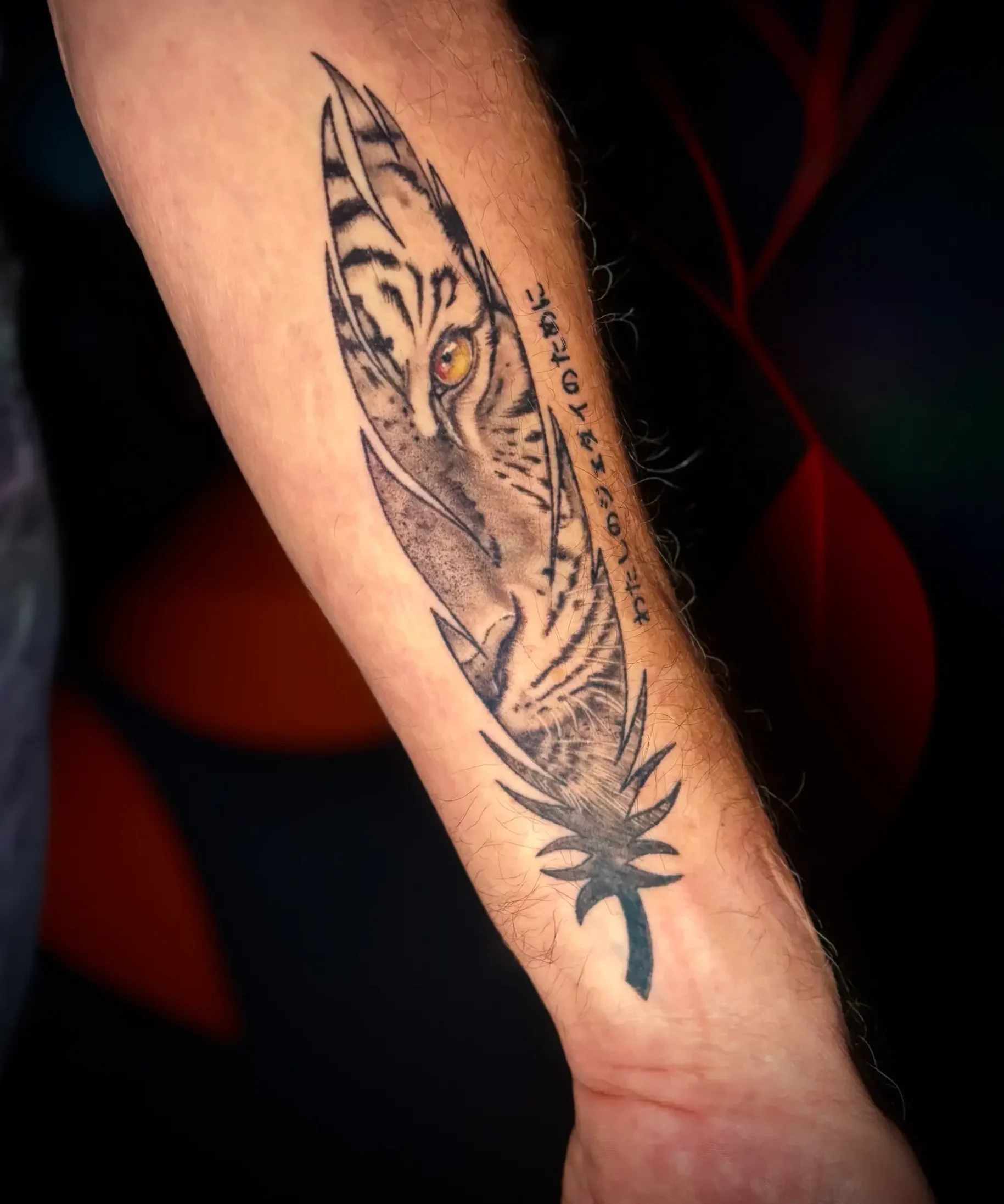 Tatouage tigre réaliste noir et gris-plume-cicatrisé 8 mois- salon de tatouage la griffe