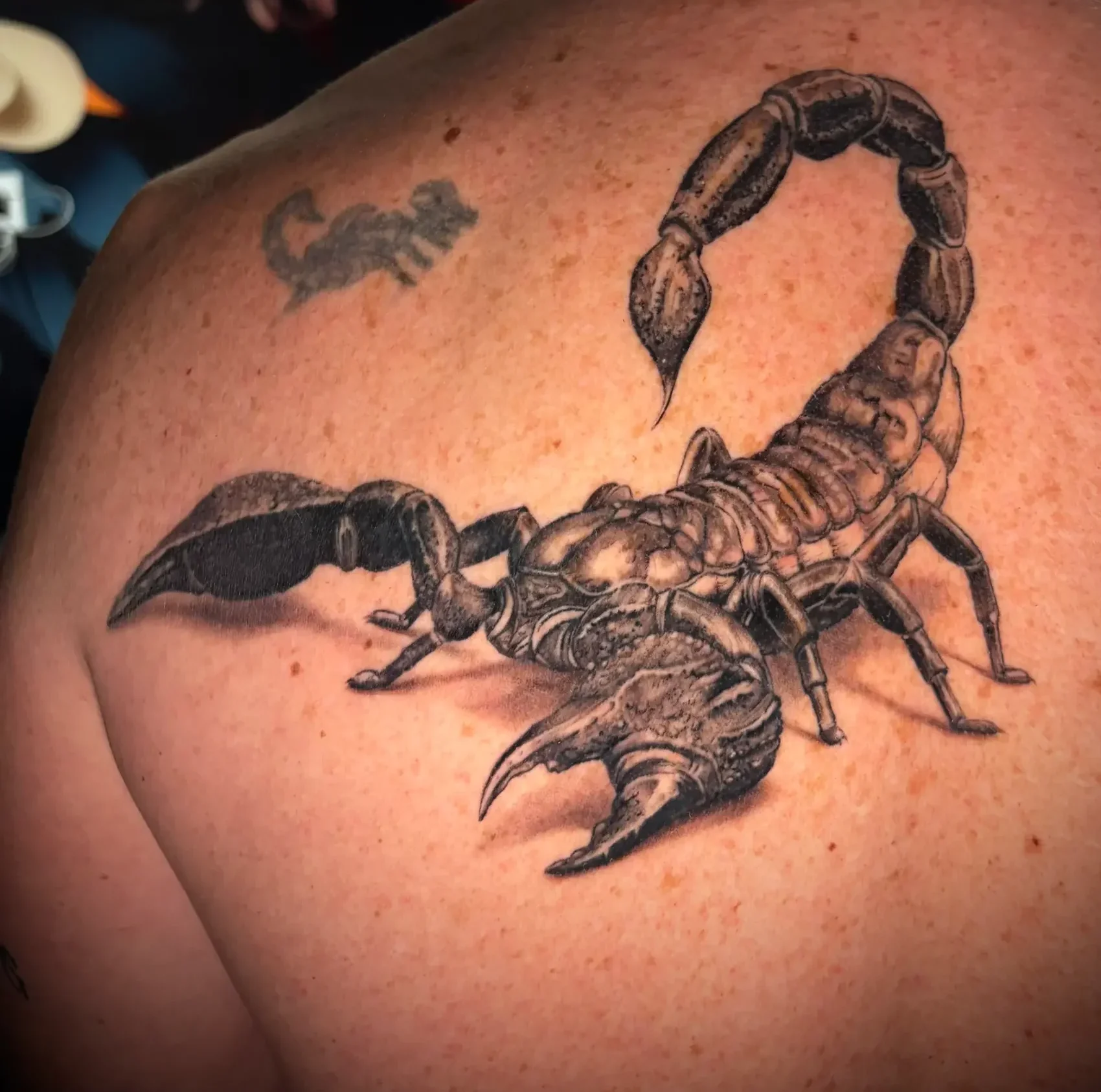 tatouage scorpion réaliste noir et gris salon de tatouage la griffe