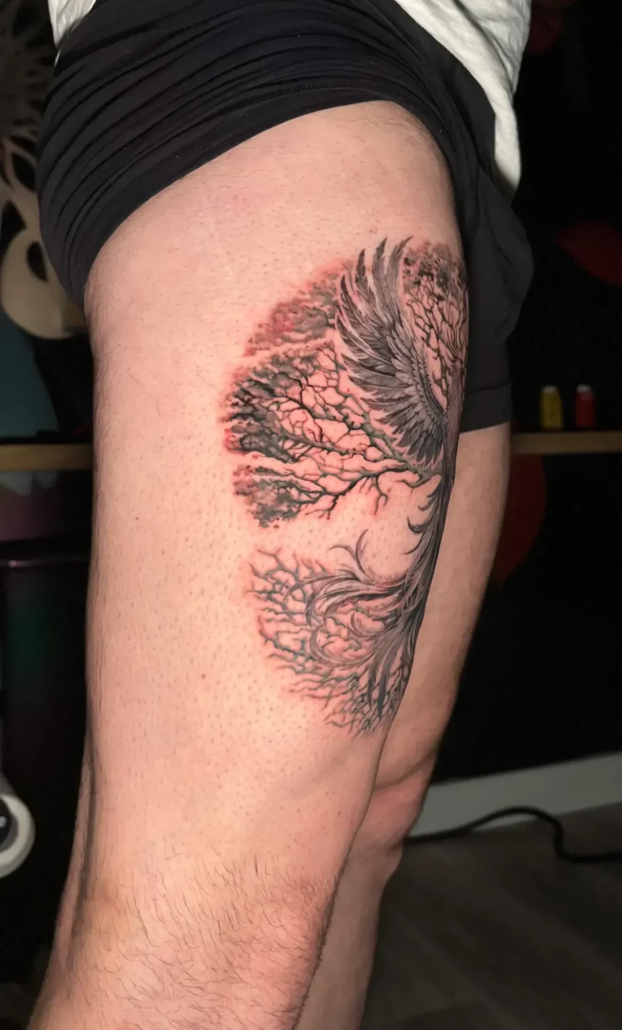 Tatouage phœnix arbre de vie réaliste noir et gris salon de tatouage la griffe