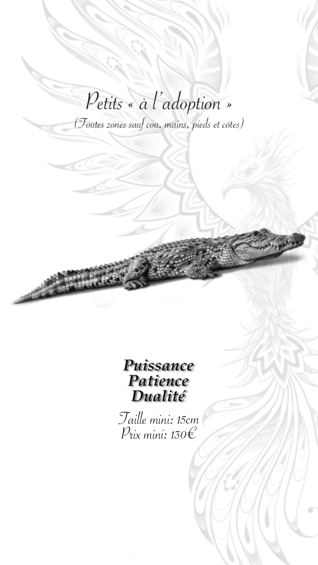 tatouage flash crocodile micro réaliste noir et gris la griffe