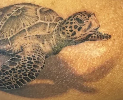tatouage-tortue-marine-realisme-noir-gris-salon de tatouage la-griffe-seillons-source-dargens