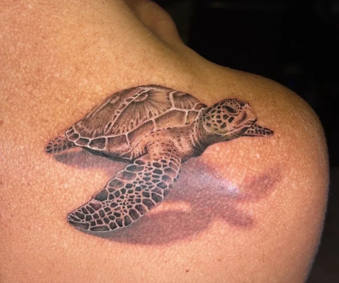 tatouage-tortue-marine-realiste-noir-gris-epaule